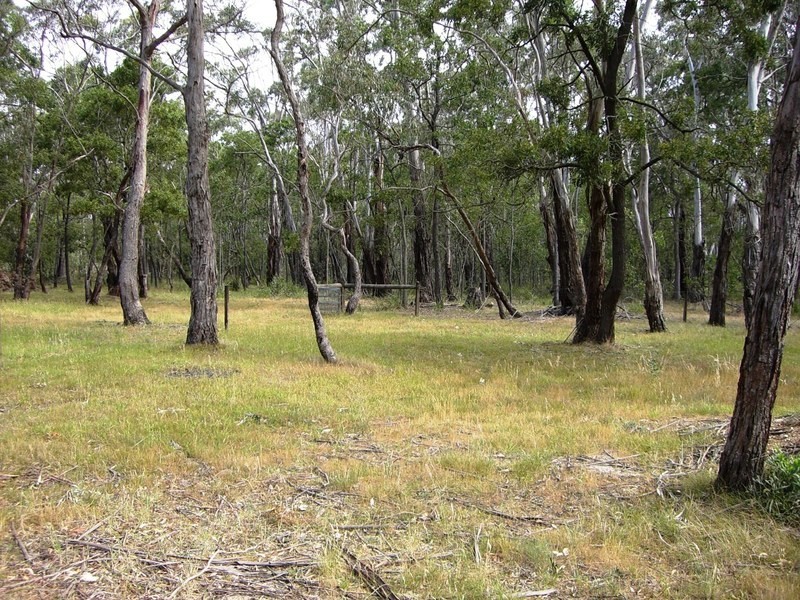 65 Noels Lane, Gherang VIC 3240