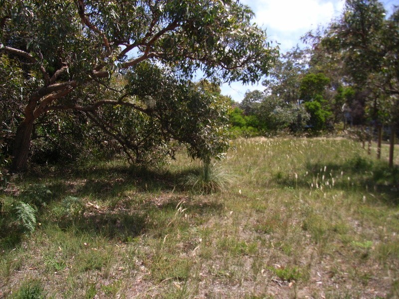 41 Great Ocean Road, Anglesea VIC 3230