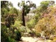 13 Ingram Road, Anglesea VIC 3230