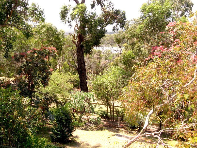 13 Ingram Road, Anglesea VIC 3230