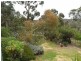 13 Ingram Road, Anglesea VIC 3230