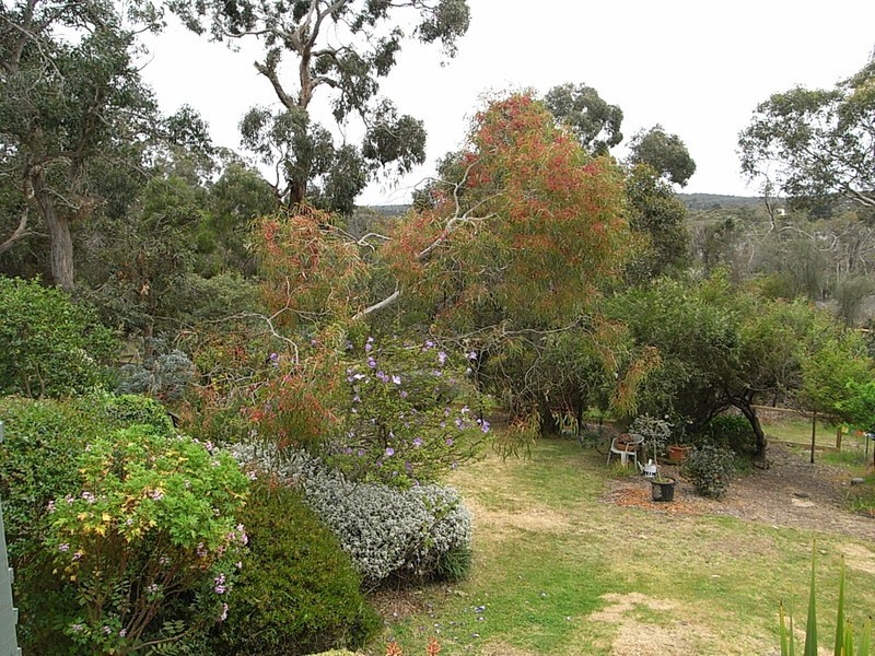 13 Ingram Road, Anglesea VIC 3230