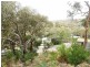 30 Niblick Street, Anglesea VIC 3230