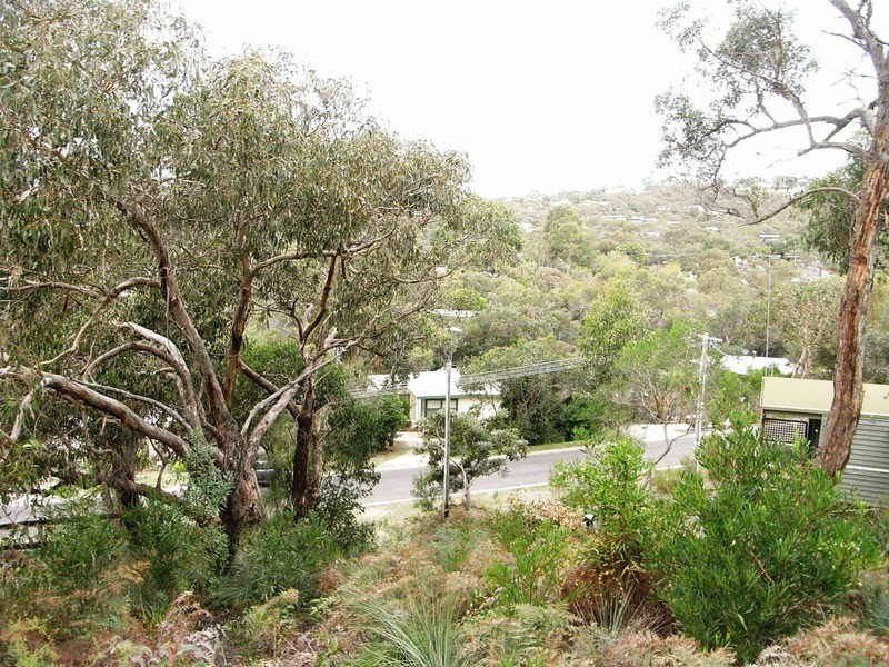 30 Niblick Street, Anglesea VIC 3230