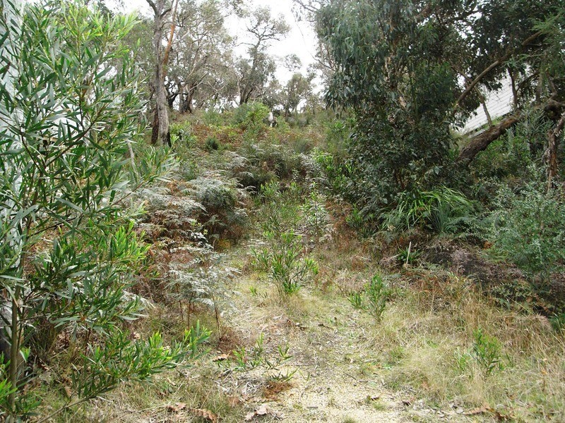 30 Niblick Street, Anglesea VIC 3230