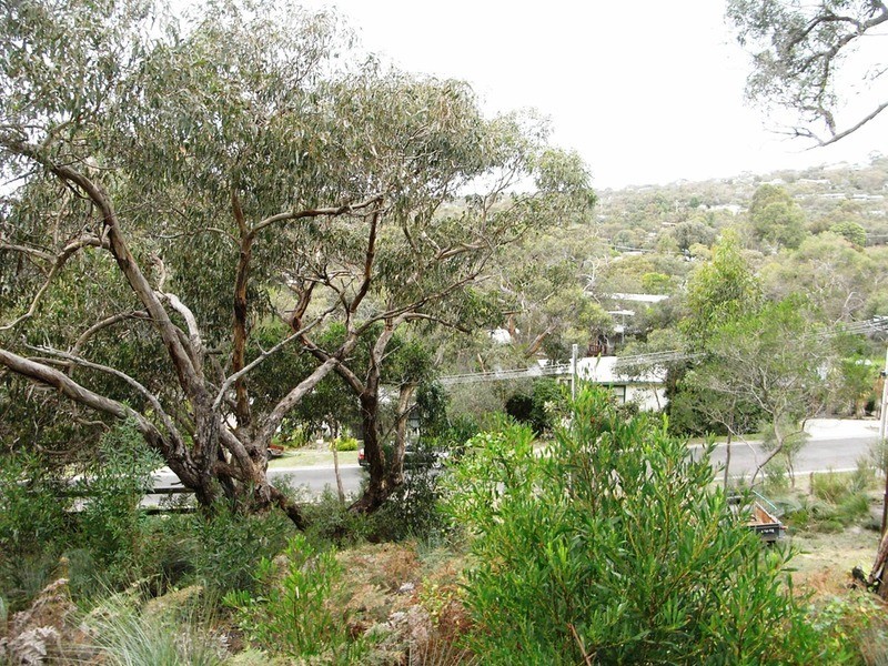 30 Niblick Street, Anglesea VIC 3230
