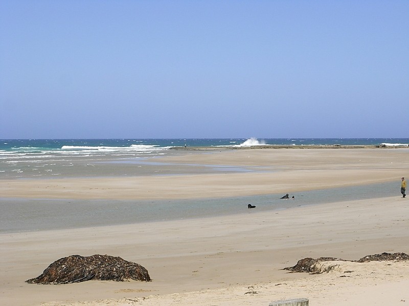 2/49 Eighth Avenue, Anglesea VIC 3230