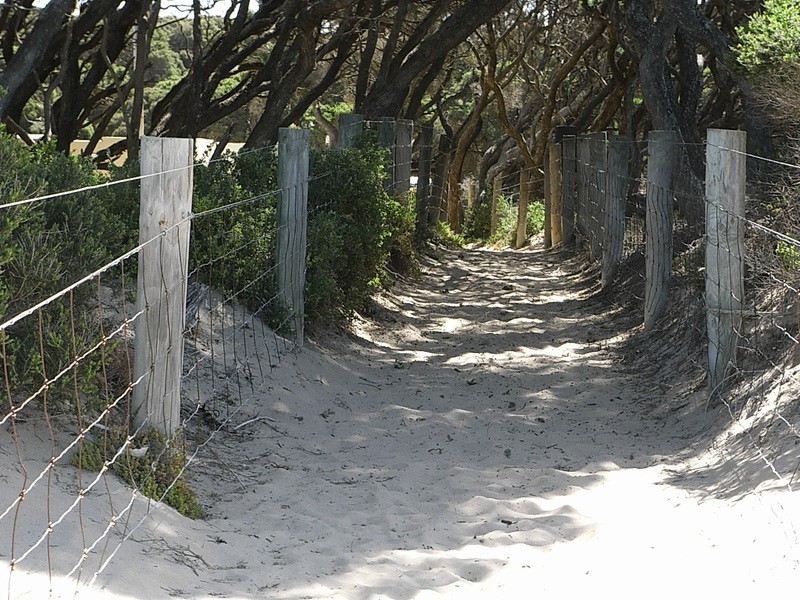 2/49 Eighth Avenue, Anglesea VIC 3230