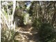 53 Eighth Avenue, Anglesea VIC 3230
