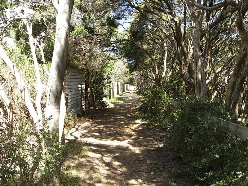 53 Eighth Avenue, Anglesea VIC 3230