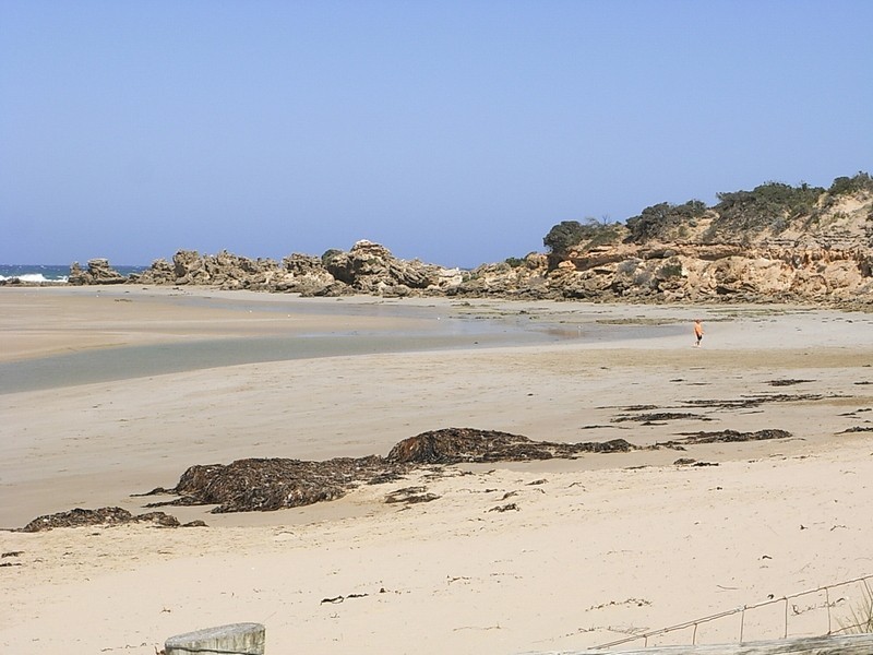 53 Eighth Avenue, Anglesea VIC 3230
