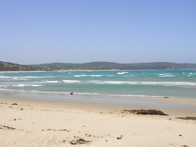 53 Eighth Avenue, Anglesea VIC 3230