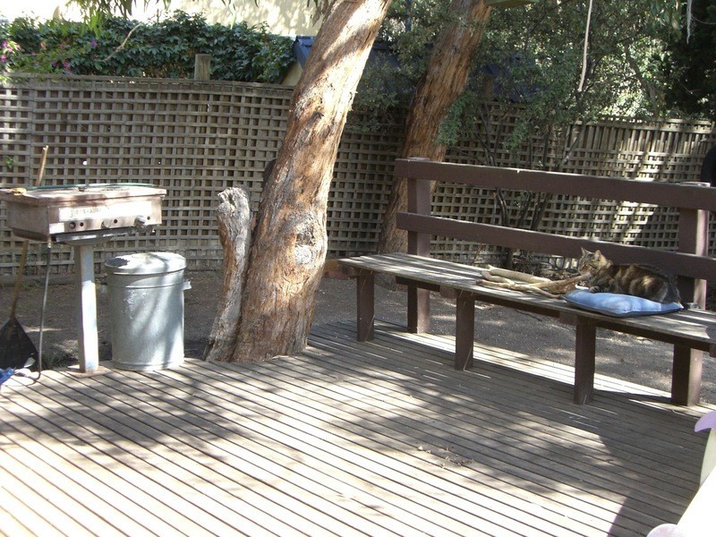 1 Fraser Avenue, Anglesea VIC 3230