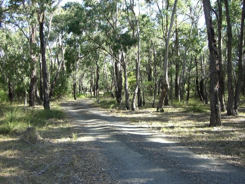 55 Guye Court, Modewarre VIC 3240