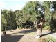Lot 1/15 Walker Street, Anglesea VIC 3230