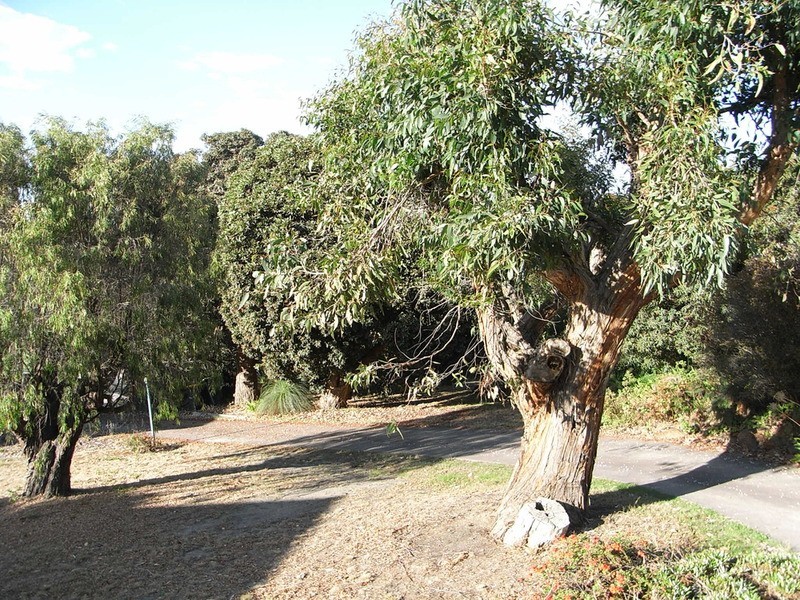 Lot 1/15 Walker Street, Anglesea VIC 3230