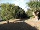 Lot 1/15 Walker Street, Anglesea VIC 3230