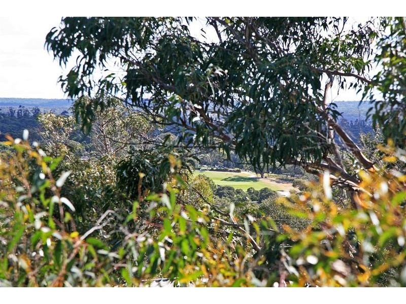 53 Belton Street, Anglesea VIC 3230