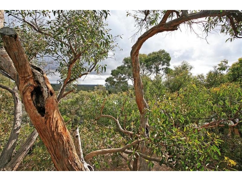 53 Belton Street, Anglesea VIC 3230