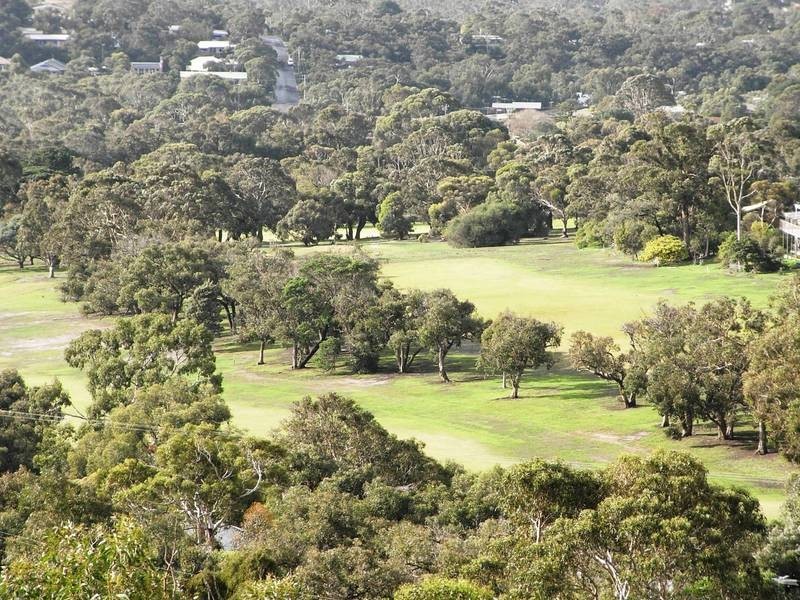 7 Pickworth Drive, Anglesea VIC 3230