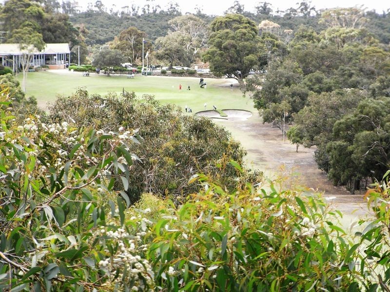 10 Fairway Drive, Anglesea VIC 3230