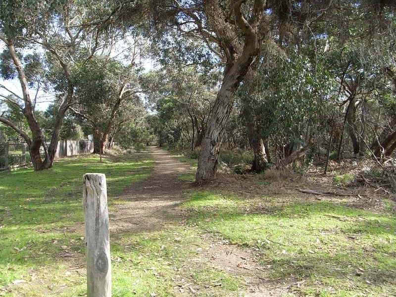 5 Paringa Crescent, Anglesea VIC 3230