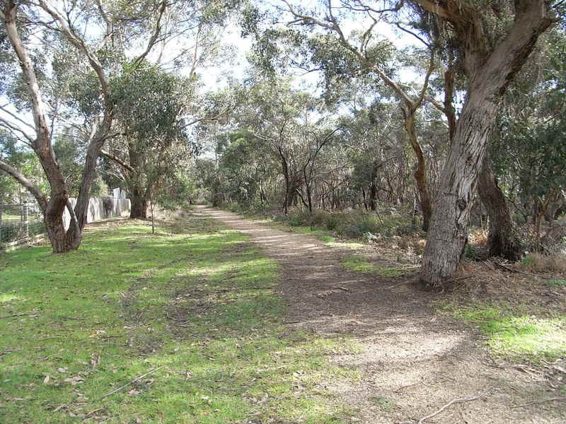 5 Paringa Crescent, Anglesea VIC 3230