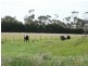 190 Flaxbournes Road, Paraparap VIC 3240