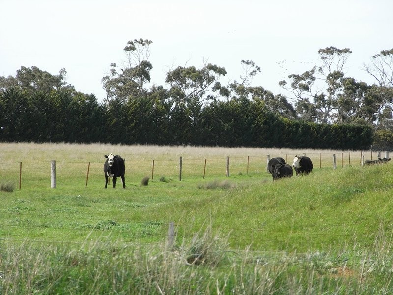 190 Flaxbournes Road, Paraparap VIC 3240