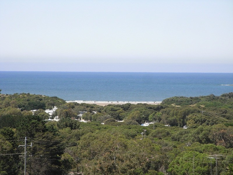 33 Wray Street, Anglesea VIC 3230