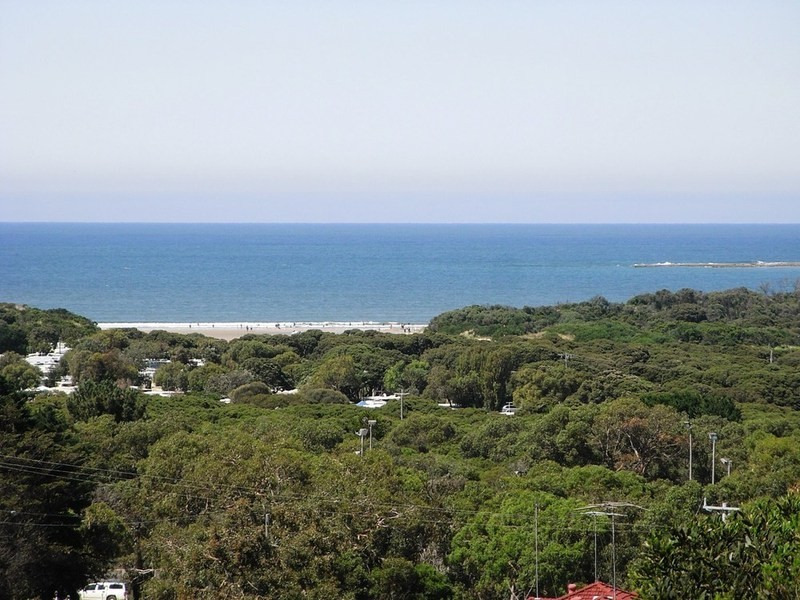 33 Wray Street, Anglesea VIC 3230
