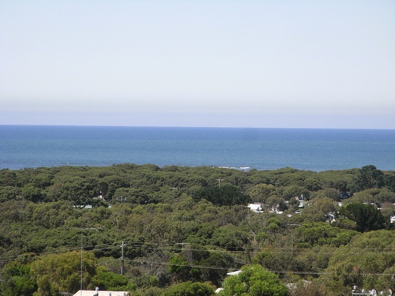 33 Wray Street, Anglesea VIC 3230