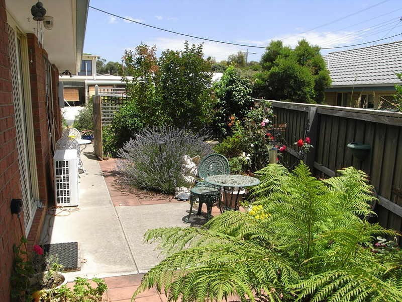 52 Jackson Street, Anglesea VIC 3230