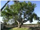 53-59 Barkly Street, Winchelsea VIC 3241