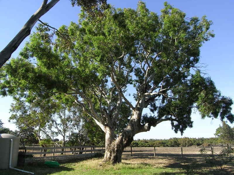 53-59 Barkly Street, Winchelsea VIC 3241