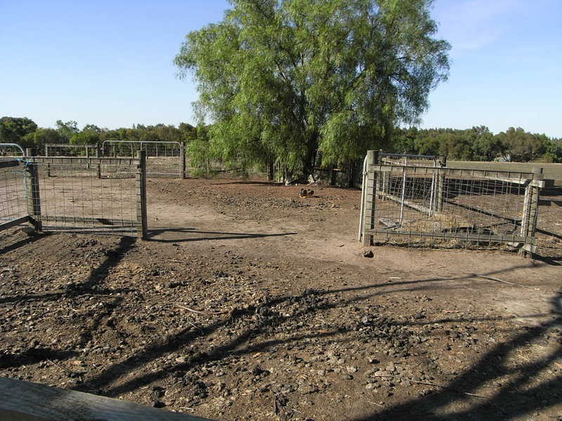 53-59 Barkly Street, Winchelsea VIC 3241