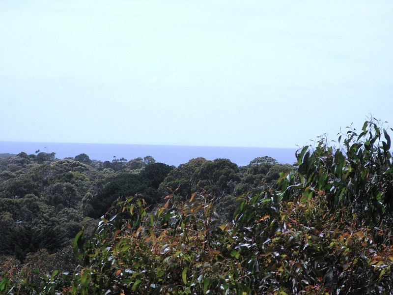 40 Niblick Street, Anglesea VIC 3230