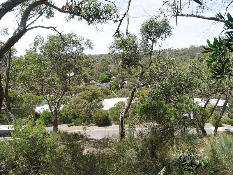 40 Niblick Street, Anglesea VIC 3230