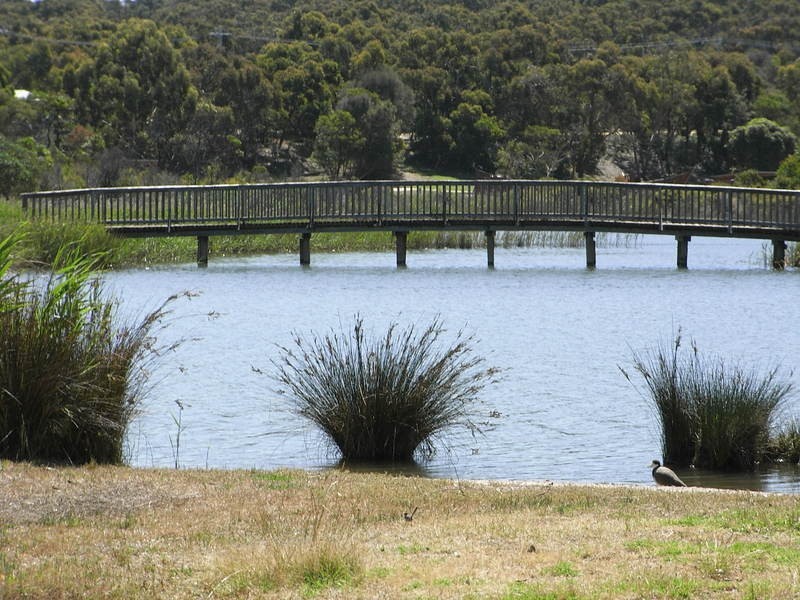 31/11 Camp Road, Anglesea VIC 3230