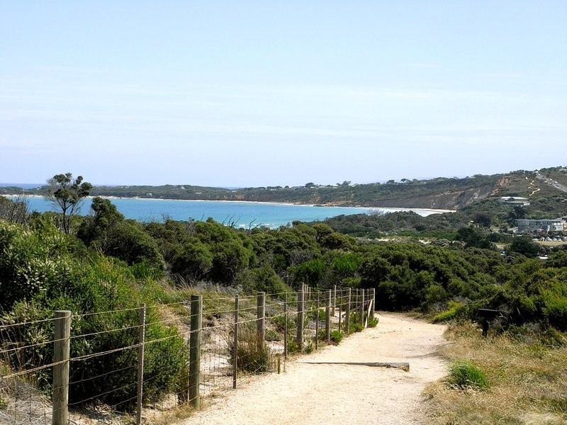 25 Purnell Street, Anglesea VIC 3230