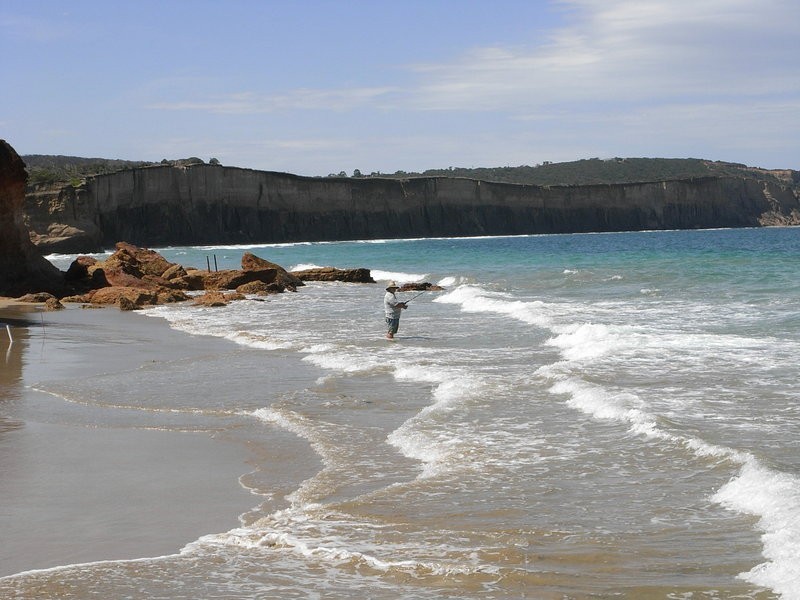 25 Purnell Street, Anglesea VIC 3230