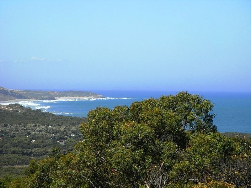 7 Craigdarroch Avenue, Anglesea VIC 3230