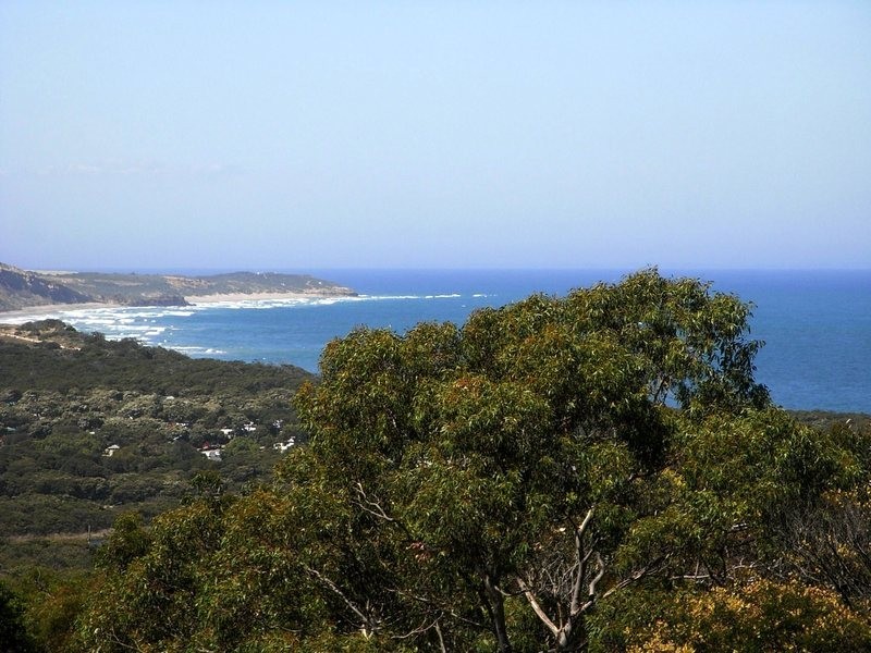 7 Craigdarroch Avenue, Anglesea VIC 3230