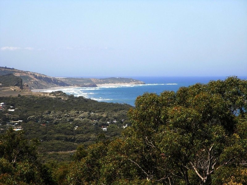7 Craigdarroch Avenue, Anglesea VIC 3230