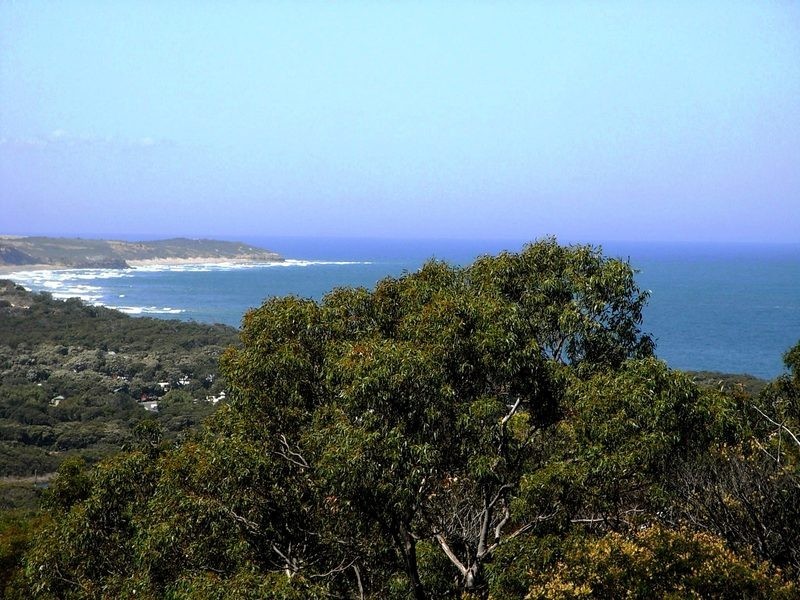 7 Craigdarroch Avenue, Anglesea VIC 3230