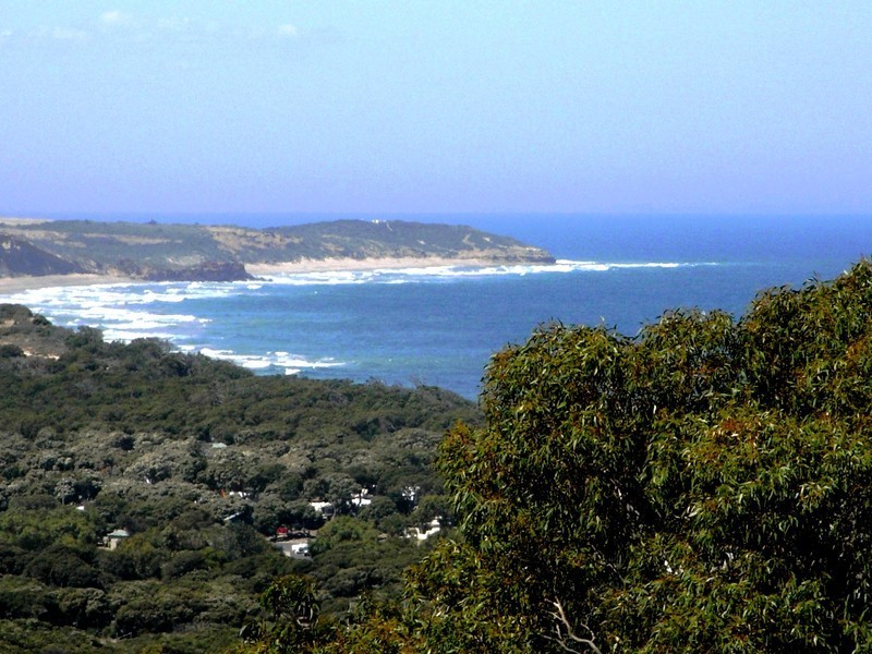 7 Craigdarroch Avenue, Anglesea VIC 3230