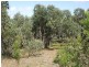 39 and 41 Second Avenue, Anglesea VIC 3230