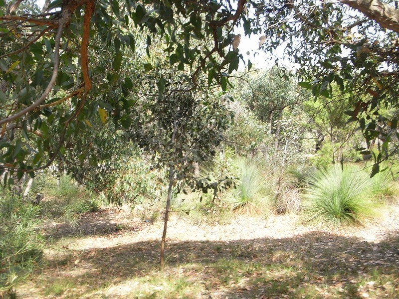 39 and 41 Second Avenue, Anglesea VIC 3230