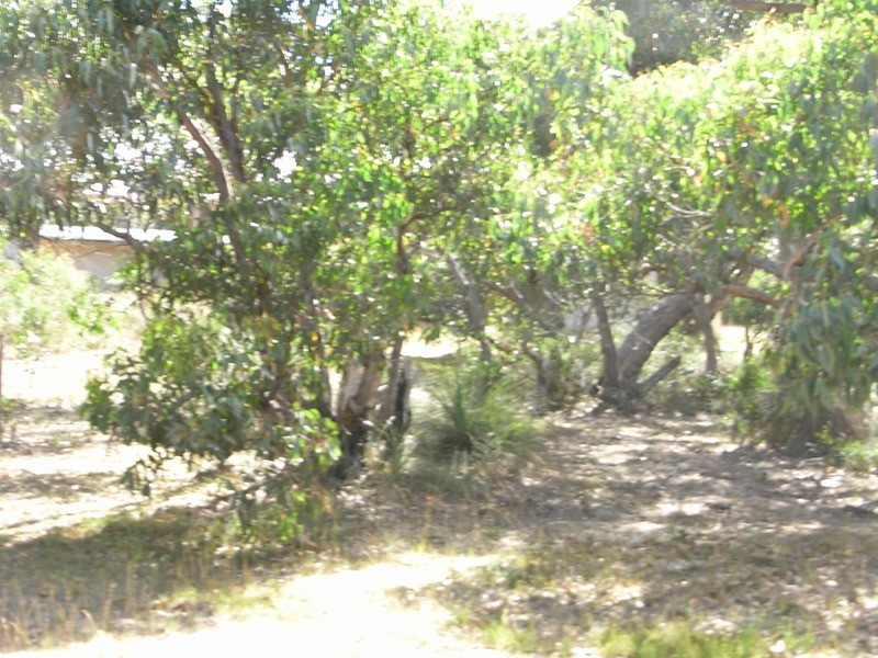 39 and 41 Second Avenue, Anglesea VIC 3230