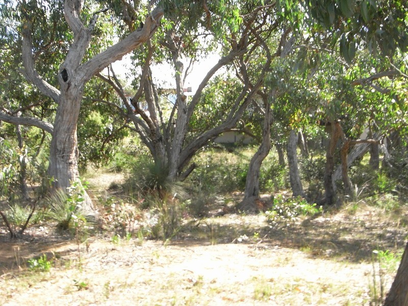 39 and 41 Second Avenue, Anglesea VIC 3230
